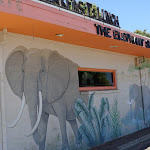 Pictures of The Elephant Shack taken by user