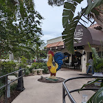 Pictures of Little Havana Restaurant taken by user