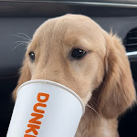 Pictures of Dunkin' taken by user