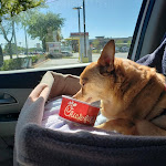 Pictures of Chick-fil-A taken by user