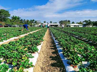 About Knaus Berry Farm Restaurant