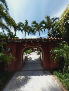 Street View & 360° photo of Testa's Palm Beach