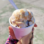 Pictures of Space Coast Ice Cream taken by user