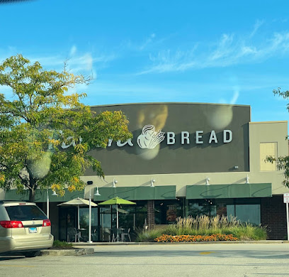 About Panera Bread Restaurant