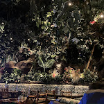 Pictures of Rainforest Cafe taken by user