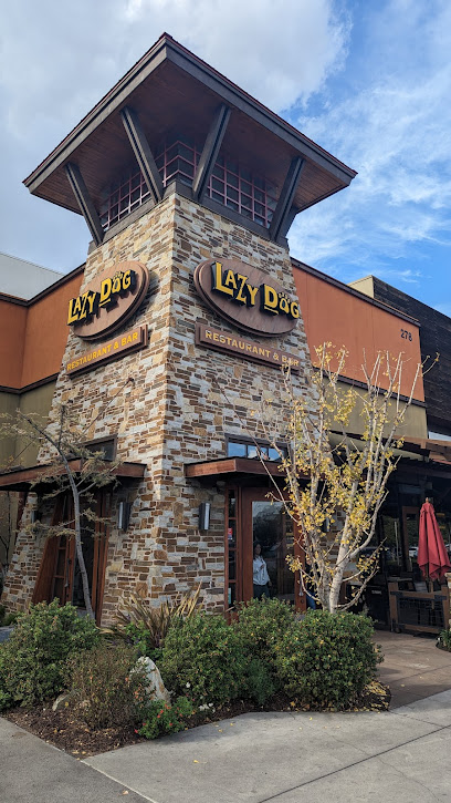 About Lazy Dog Restaurant & Bar Restaurant