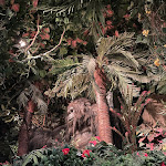 Pictures of Rainforest Cafe taken by user