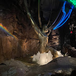 Pictures of Rainforest Cafe taken by user