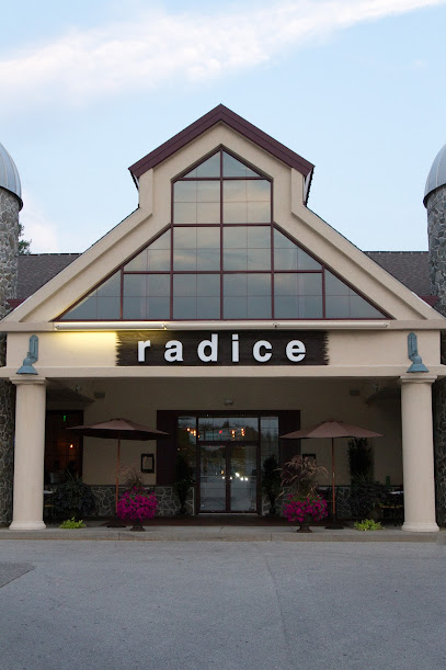 About Radice Restaurant