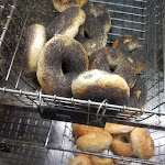 Pictures of Manhattan Bagel taken by user