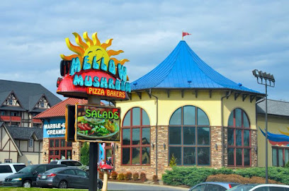About Mellow Mushroom Pigeon Forge Restaurant