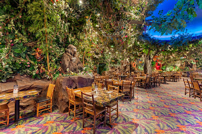 About Rainforest Cafe Restaurant